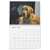 OWRAssist Liebe rettet Kalender (Feb 2027)
