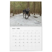 OWRAssist Love Rescues Kalender (Mär 2026)