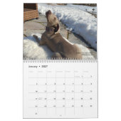 OWRAssist Love Rescues Kalender (Jan 2027)