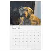 OWRAssist Love Rescues Kalender (Feb 2027)