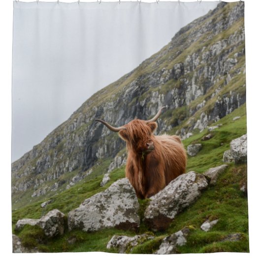 OX AUF BERG DUSCHVORHANG (Vorderseite)