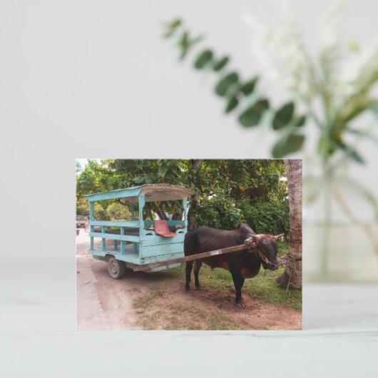 Ox Cart Postkarte (Stehend Vorderseite)
