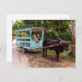 Ox Cart Postkarte (Vorne/Hinten)