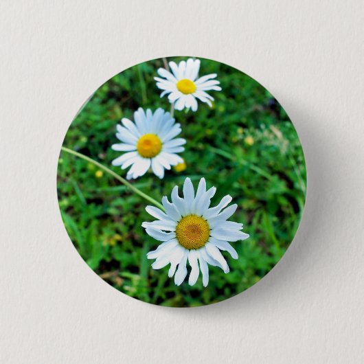 Ox-Eye Daisies Abzeichen Button (Vorderseite)
