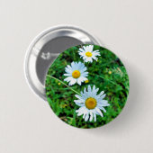 Ox-Eye Daisies Abzeichen Button (Vorne & Hinten)