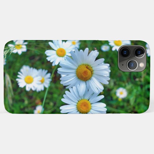 Ox-Eye Daisies Case-Mate iPhone Hülle (Rückseite (Horizontal))