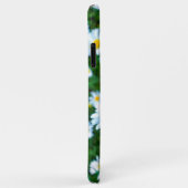Ox-Eye Daisies Case-Mate iPhone Hülle (Hinten/Rechts)