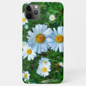 Ox-Eye Daisies Case-Mate iPhone Hülle (Rückseite)