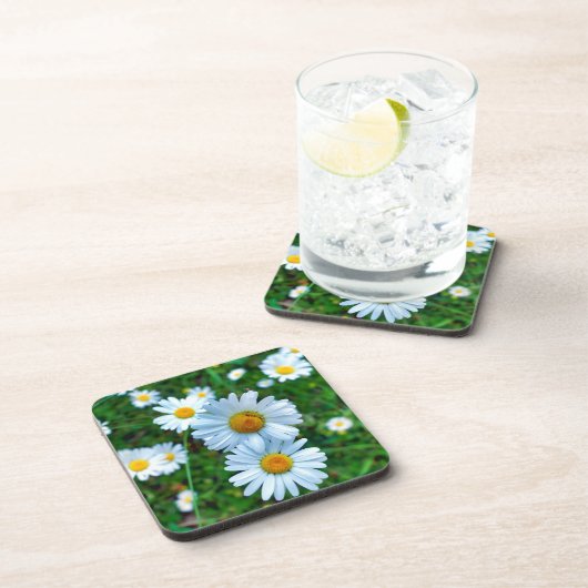 Ox-Eye Daisies Getränkeuntersetzer (Rechte Seite)