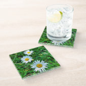Ox-Eye Daisies Glasuntersetzer (Schrägansicht)