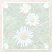 Ox-Eye Daisies Glasuntersetzer (Rückseite)