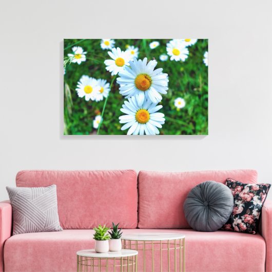 Ox-Eye Daisies Leinwanddruck (Insitu (Wohnzimmer))