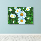 Ox-Eye Daisies Leinwanddruck (Insitu (Holzboden))