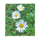 Ox-Eye Daisies Notizblock (Vorderseite)