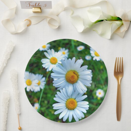 Ox-Eye-Daisies-Papierplatte Pappteller (Hochzeit)