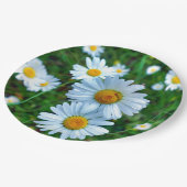 Ox-Eye-Daisies-Papierplatte Pappteller (Schrägansicht)