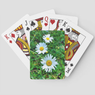 Ox-Eye Daisies Spielkarten