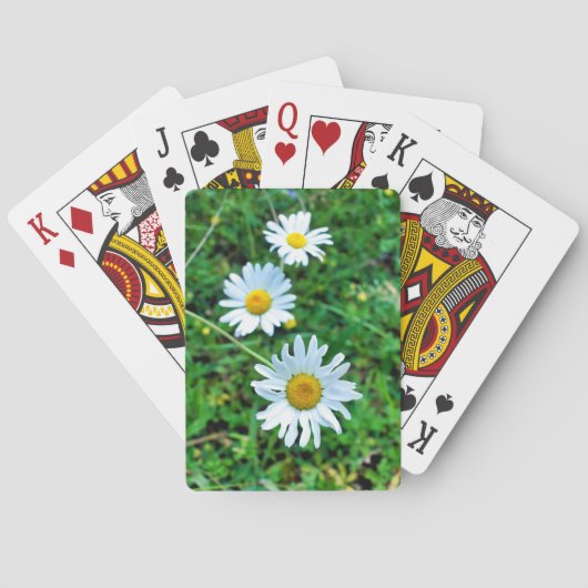 Ox-Eye Daisies Spielkarten (Rückseite)