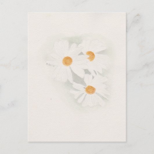 Ox eye daisy postkarte (Vorderseite)