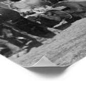 Ox Teams entlang der Hauptstraße von Sturgis Fotog Poster (Ecke)