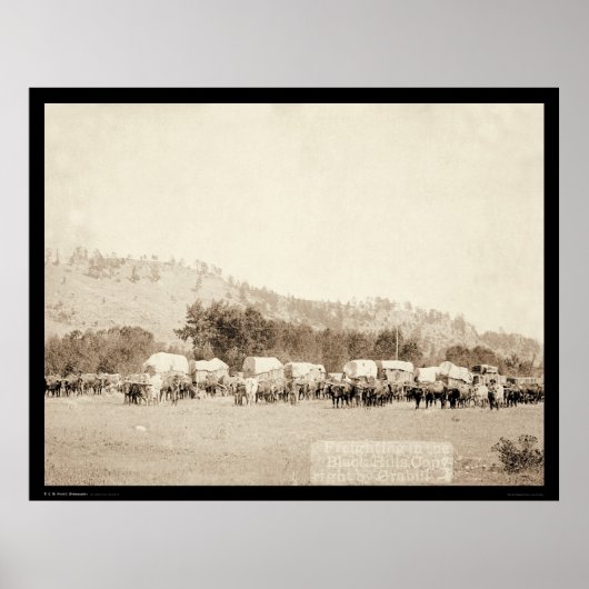 Ox Teams Fraighting in Tal Black Hills SD 1887 Poster (Vorne)