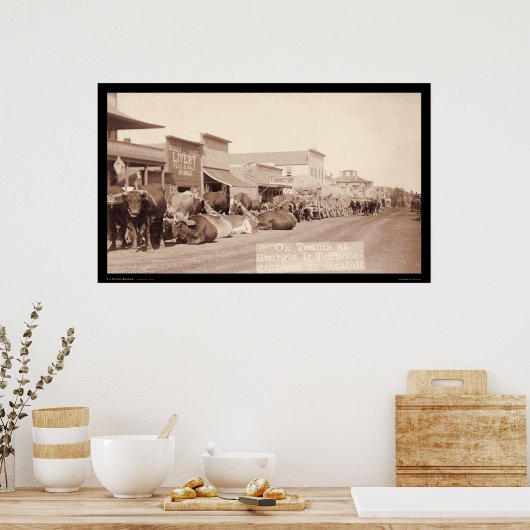 OX-Teams im Gebiet Sturgis Dakota SD 1887 Poster (Küche)