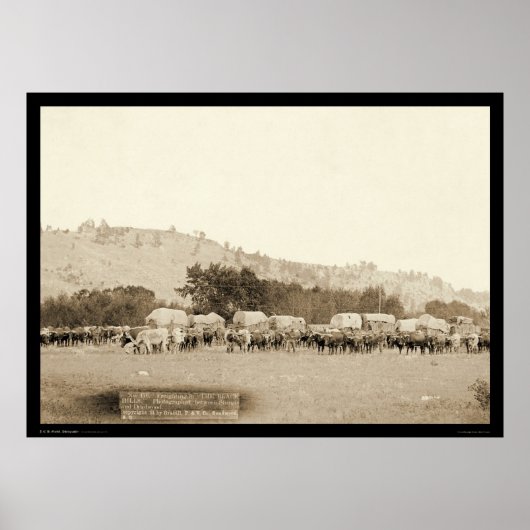 OX Teams & Wagons Frachter Schwarze Hügel SD 1887 Poster (Vorne)