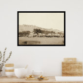 OX Teams & Wagons Frachter Schwarze Hügel SD 1887 Poster (Küche)