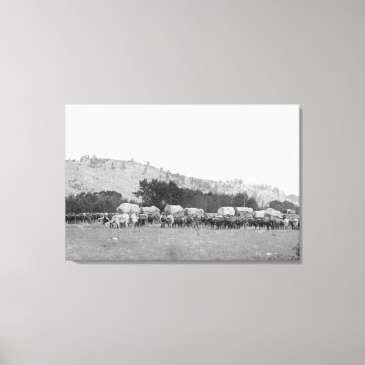 Ox Züge zwischen Sturgis und Deadwood Fotograp Leinwanddruck (Vorderseite)