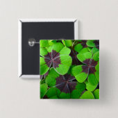 Oxalis-Blätter - Rot und Grün Button (Vorne & Hinten)