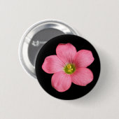 Oxalis Blume ~ Knopf Button (Vorne & Hinten)