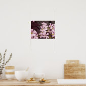 Oxalis triangularis poster (Küche)