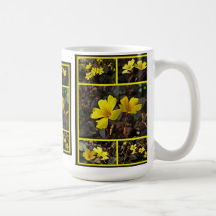 Oxalis Yellow-Flower Houseplant Kaffeetasse