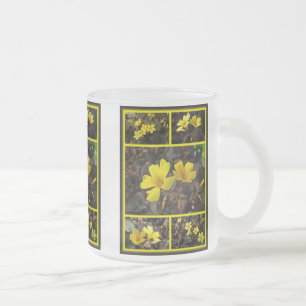 Oxalis Yellow-Flower Houseplant Mattglastasse
