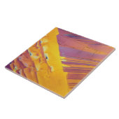 Oxalische Säure-Kristalle Fliese (Seite)