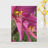 Oxblut Karte (Gelbe Blume)