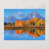 Oxbow Bend Sunrise Postkarte (Vorderseite)
