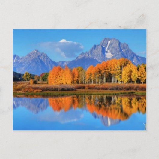 Oxbow Bend Sunrise Postkarte (Vorderseite)