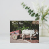 Oxcart, Costa Rica Postcard Postkarte (Stehend Vorderseite)