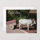 Oxcart, Costa Rica Postcard Postkarte (Vorne/Hinten)