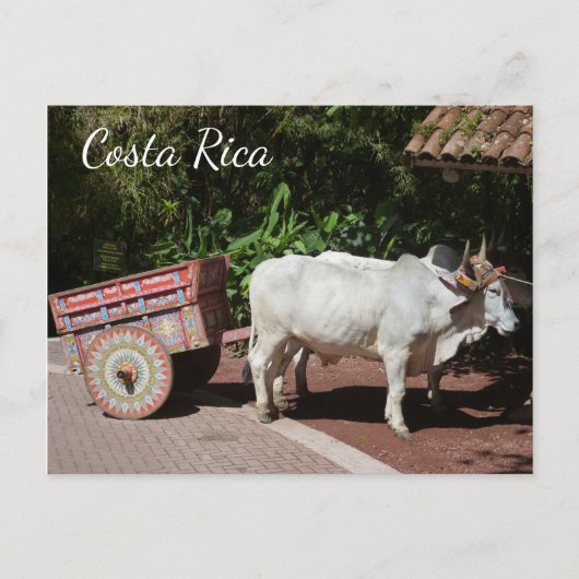 Oxcart, Costa Rica Postcard Postkarte (Vorderseite)