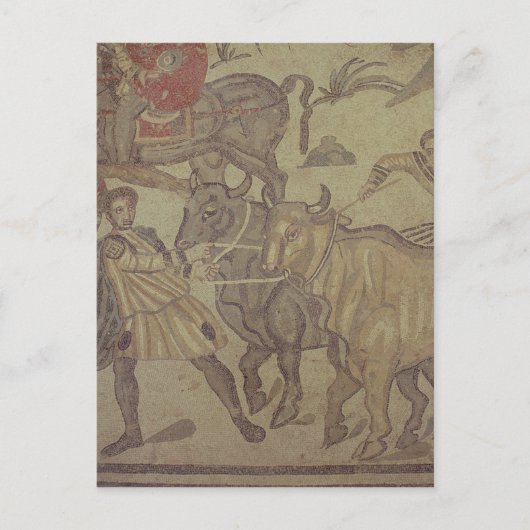 Oxen mit Wassertransport, römisches Mosaik Postkarte (Vorderseite)