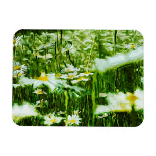 Oxeye Daisy Abstrakt Impressionismus Magnet