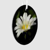 Oxeye Daisy Round Acrylic Ornament (Vorderseite)