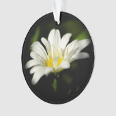 Oxeye Daisy Round Acrylic Ornament (Vorderseite)