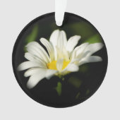 Oxeye Daisy Round Acrylic Ornament (Vorderseite)