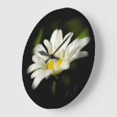 Oxeye Daisy Round Clock Große Wanduhr (Winkel)