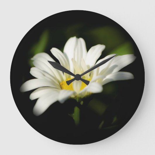Oxeye Daisy Round Clock Große Wanduhr (Vorderseite)