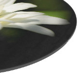 Oxeye Daisy Round Glass Cutting Board Schneidebrett (Ecke)