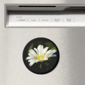 Oxeye Daisy Round Magnet (In Situ (Geschirrspüler))